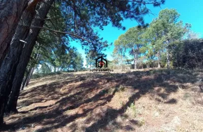 Terreno à venda no Imbiry, Campos do Jordão 