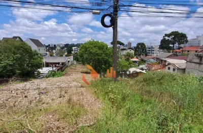 Terreno à venda na Rua Doutor Sátilas do Amaral Camargo, 796, Tingui, Curitiba