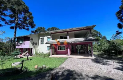 Chácara / sítio com 4 quartos à venda na Rua Nossa Senhora Da Luz, 303, Palmitalzinho, Quatro Barras