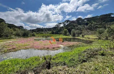 Chácara 3 dormitórios à venda, 121000 m² em campina grande do sul/pr