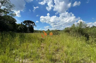 Chácara / sítio à venda na Rua Nossa Senhora Da Luz, 840, Palmitalzinho, Quatro Barras