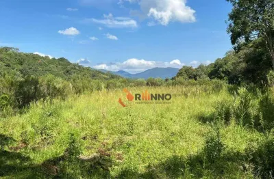 Chácara / sítio à venda na Rua Nossa Senhora Da Luz, 840, Palmitalzinho, Quatro Barras