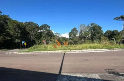 Terreno de 1054 m²  à venda no centro de quatro barras/pr