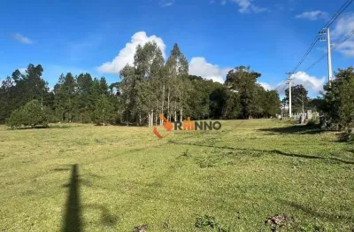 Terreno à venda na Estrada Vereador Julio Ferreira, Centro, Campina Grande do Sul