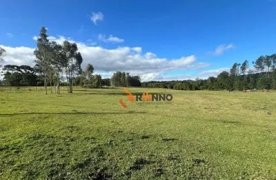 Terreno à venda na Estrada Vereador Julio Ferreira, Centro, Campina Grande do Sul