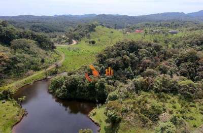 Chácaras guaricana à partir de 20.000 m² em são josé dos pinhais