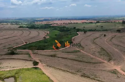 Fazenda de 60 alqueires à venda em zona rural - martinópolis/sp