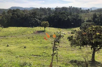 Fazenda à venda na Rodovia BR-376, 250, Campo Largo da Roseira, São José dos Pinhais