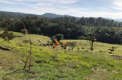 Fazenda à venda na Rodovia BR-376, Campo Largo da Roseira, São José dos Pinhais
