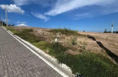 Terreno à venda na Bela Vista, Gaspar 