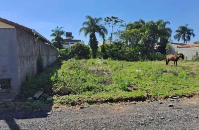 Terreno à venda no Icaraí, Barra Velha 