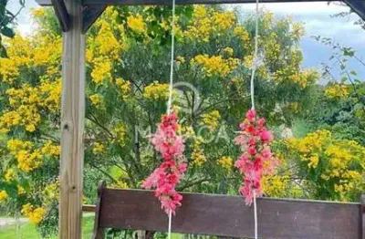 Casa com 4 quartos à venda no Medeiros, Barra Velha 