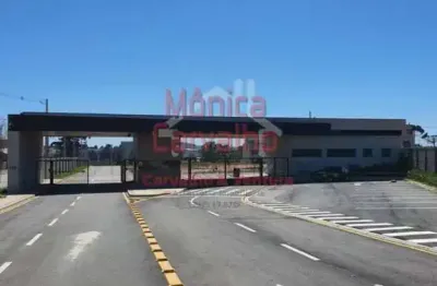 Terreno em condomínio fechado à venda na Rua Manoel Martins, 905, Costeira, São José dos Pinhais