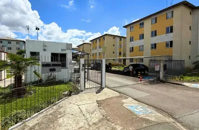 Apartamento com 2 quartos à venda na Rua Octávio Cim, 1235, Afonso Pena, São José dos Pinhais