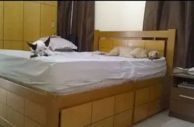 Apartamento com 3 dormitórios à venda, 100 m² por r$ 595.000 - gonzaga - santos/sp