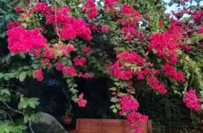 Apartamento com 2 dormitórios à venda, 81 m² por r$ 477.000,00 - gonzaga - santos/sp