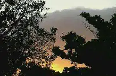 Apartamento com 2 quartos à venda no Macuco, Santos 