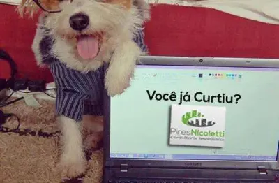 Apartamento com 1 quarto à venda no Macuco, Santos 