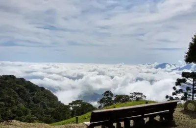 Chácara / sítio com 3 quartos à venda na Zona Rural, Bananal 
