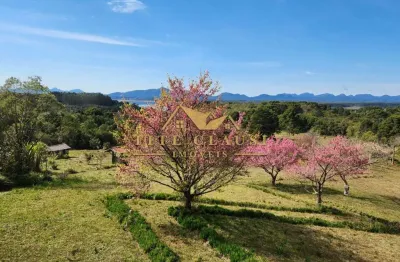 Chácara / sítio à venda na rua fábio vicente de moura, 4295, parque das nascentes, pinhais, 52303 m2 por r$ 3.150.000