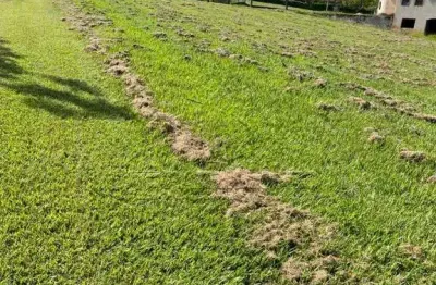 Terreno condomínio,0 dormitorio(s) bairro vale do lago vale do lago