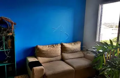 Apartamento,3 dormitorio(s) bairro terron safira - residencial