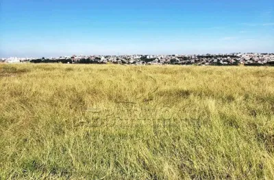 Terreno,0 dormitorio(s) bairro empresarial das mangueiras