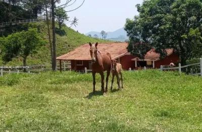 Sítio para venda em são josé dos campos /sp no bairro área rural