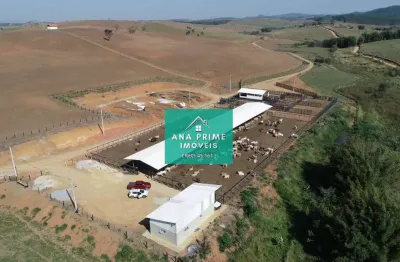 Fazenda para criação de gado à venda, em são josé dos campos-sp