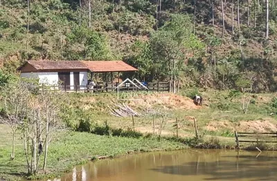 Sítio, em Natividade da Serra , há 14 km do centro - 13 alqueires