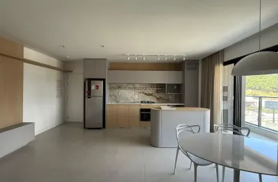 Apartamento com 2 quartos para alugar na Rua Braúlio Werner, Balneário Santa Clara, Itajaí