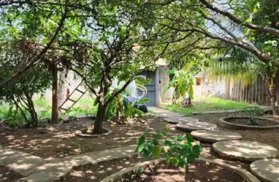 Casa com 9 quartos à venda na Rua Melvin Jones, 3980, Piçarreira, Teresina