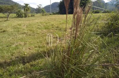 Oportunidade imperdível terreno sertão santa luzia, sertão santa luzia, porto belo - sc