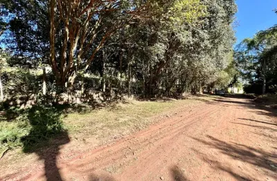 Chácara / sítio à venda na Rua Luiz Trevisan, Jardim do Lago, Araras