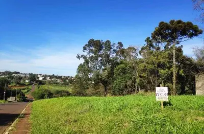 Terreno à venda no Cascavel Velho, Cascavel 
