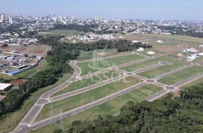Loteamento colinas tropical - urbanismo diferenciado, projeto de arborização.