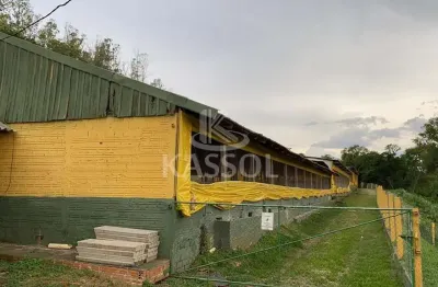 Áre rural c 950 matrizes suína em produção,toledo - pr