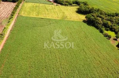 Chácara rural de 5 alqueires localizada no município de santa tereza do oeste.