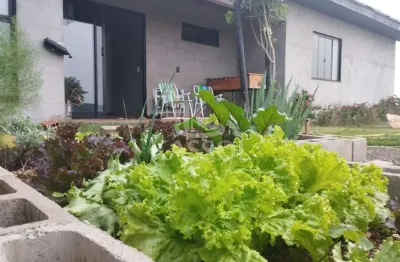 Chácara prox. rod br277  casa com 4 quartos pomar, horta, fácil acesso