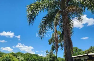 Chácara com 3 dormitórios à venda, zona rural, ibema - pr