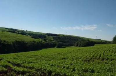 Sítio distrito são joão - cidade de cascavel - 19 alqueires com açudes