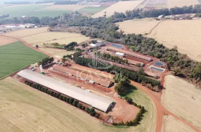 Área rural a venda em toledo, distrito de novo sobradinho, toledo - pr
