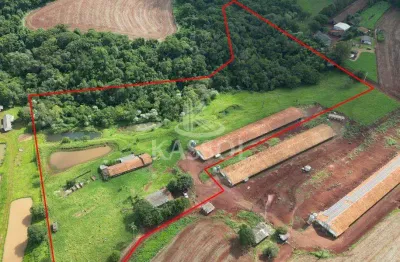 Área rural com acesso pela br 467 sentido cascavel x toledo com 4.2008ha