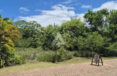 Terreno em praia do forte com 544m² à venda por r$ 3.000.000,00