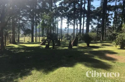 Chácara de 129.480,31m², em São José dos Pinhais - Colônia Muricy