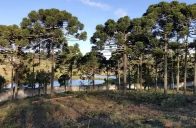 Terreno com 1.099,50m² em piraquara - condomínio residencial betaville