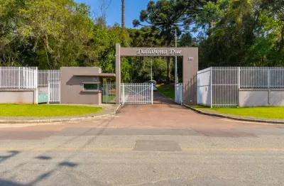 Terreno no orleans com 2.498,77m² - condomínio dallabona due