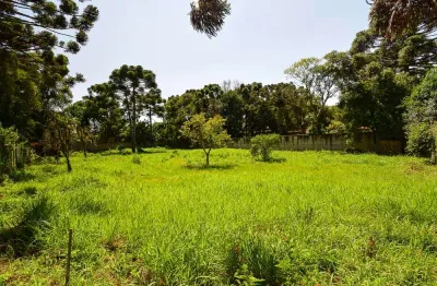 Terreno à venda na Rua João Baptista Groff, 672, Orleans, Curitiba
