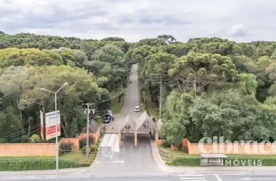 Terreno à venda na Rodovia João Leopoldo Jacomel, 4656, Jardim Primavera, Piraquara