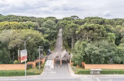 Terreno à venda na Rodovia João Leopoldo Jacomel, 4656, Jardim Primavera, Piraquara